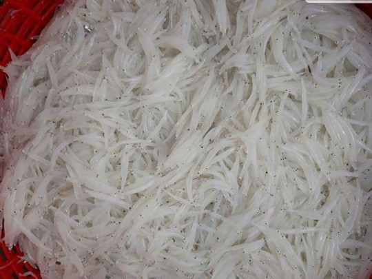 Nhiều người Hà Nội tranh mua con cá trắng tinh, thân mềm như bún - ảnh 3