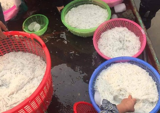 Nhiều người Hà Nội tranh mua con cá trắng tinh, thân mềm như bún - ảnh 4
