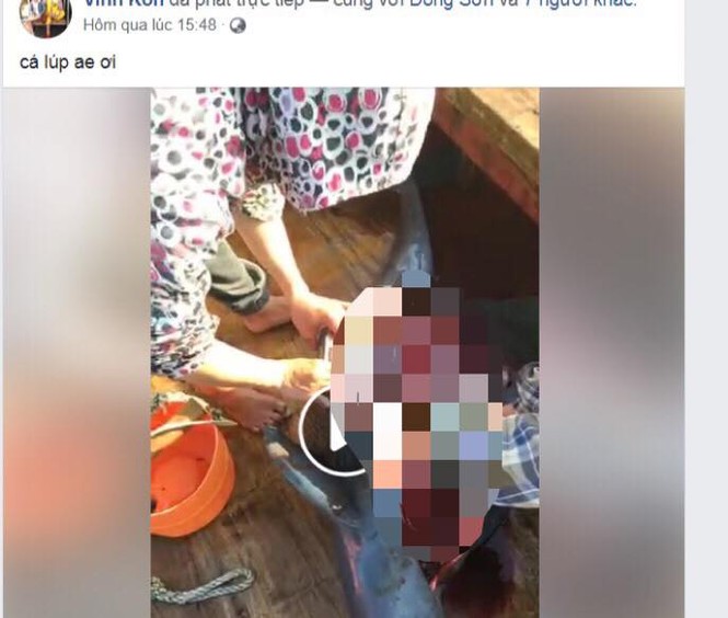 Nhóm người Livestream cảnh giết cá heo lên Facebook - ảnh 1