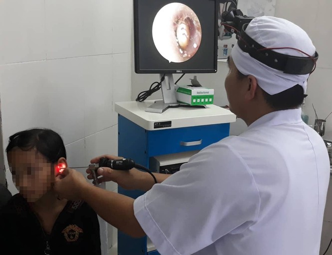 Bọ ve chó sống trong tai bé gái 10 tuổi - ảnh 1