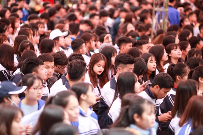 Chưa nhập học đã 'có việc làm' - ảnh 2