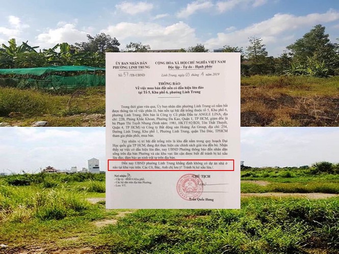 Cty Angel Lina giăng dự án “ma” khắp Sài Gòn nhiều người sập bẫy - ảnh 2