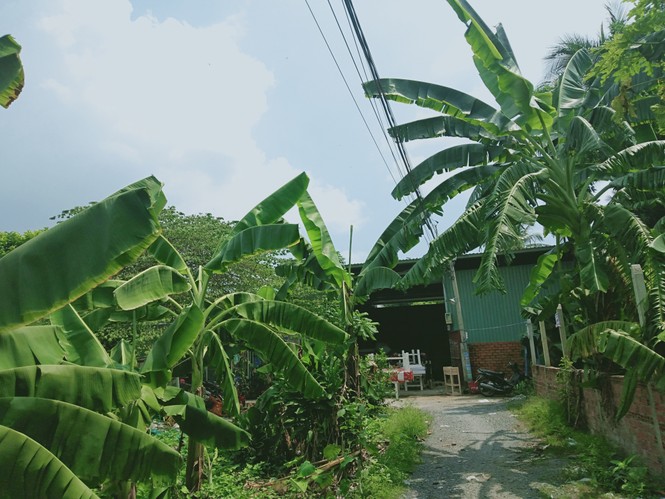 Cận cảnh công trình không phép của lãnh đạo quận Thủ Đức - ảnh 5