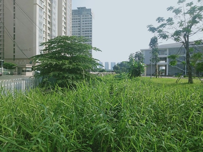 TP. HCM: Cao ốc “quá tải” lấp kênh rạch làm bãi giữ xe, lấy chiếm vỉa hè, bờ sông làm của riêng ? - ảnh 6