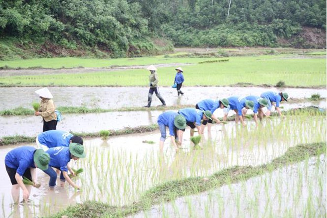 Bước chân tình nguyện ĐH Ngoại thương - ảnh 1