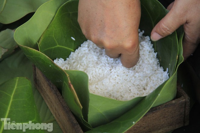 Cận cảnh bánh chưng gói bằng lá bàng vuông ở Trường Sa - ảnh 8