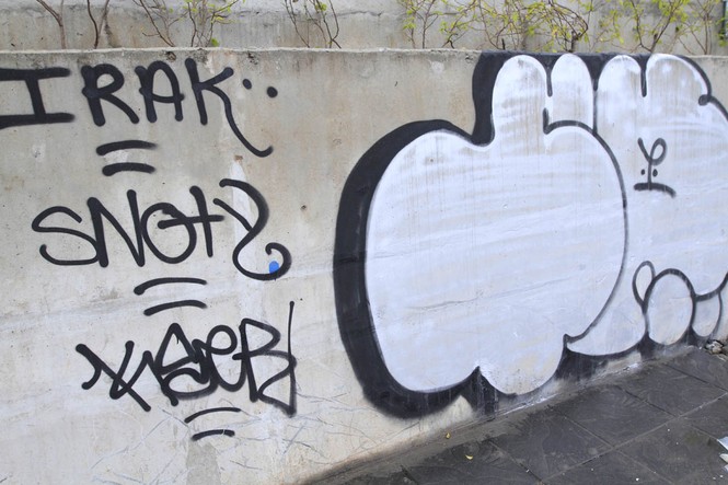 Vẽ graffiti tự phát trên đường trăm tỷ ở Hà Nội - ảnh 10