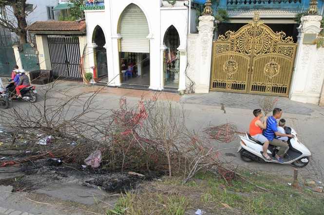 Hà Nội: Đào rừng vứt đầy đường chiều 30 Tết - ảnh 1
