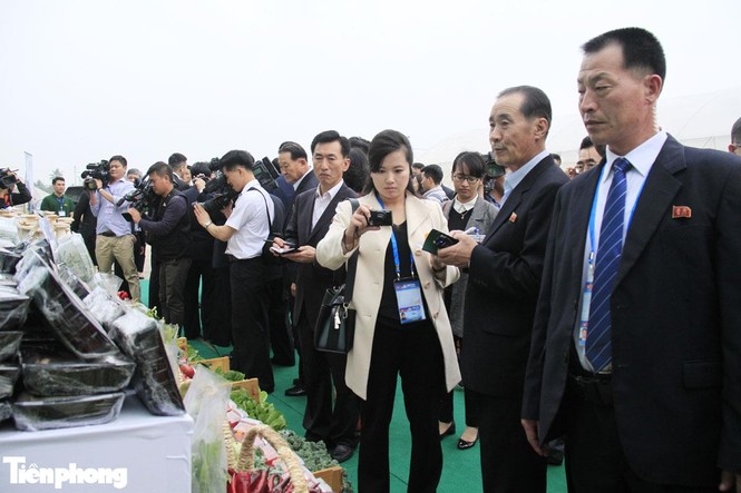 Nhìn gần nhan sắc nữ ca sĩ quyền lực nhất Triều Tiên đang ở Việt Nam - ảnh 2