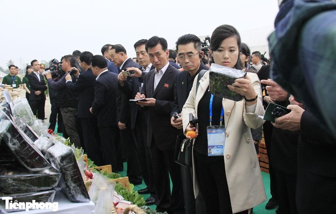 Nhìn gần nhan sắc nữ ca sĩ quyền lực nhất Triều Tiên đang ở Việt Nam - ảnh 3
