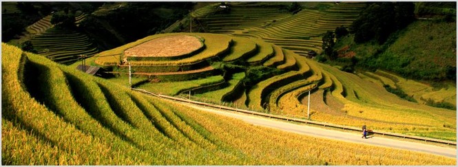 Tháng 9, lên Mù Cang Chải nhảy dù ngắm ruộng bậc thang - ảnh 1