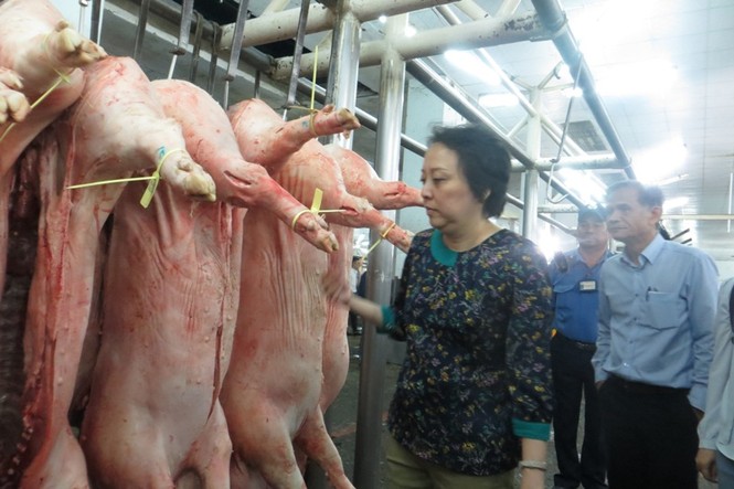 TPHCM cảnh báo heo bệnh trà trộn vào chợ dịp Tết - ảnh 5