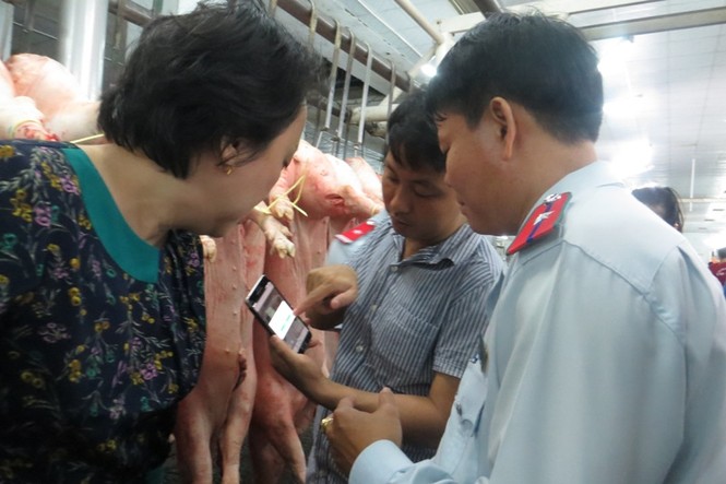 TPHCM cảnh báo heo bệnh trà trộn vào chợ dịp Tết - ảnh 4