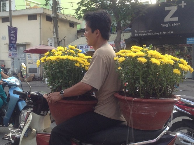 Để không bị 'ép rác', hoa tết chạy về đâu? - ảnh 7