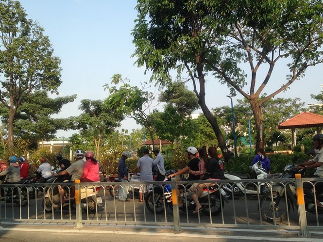 Để không bị 'ép rác', hoa tết chạy về đâu? - ảnh 8