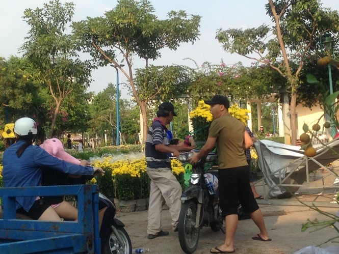 Để không bị 'ép rác', hoa tết chạy về đâu? - ảnh 6