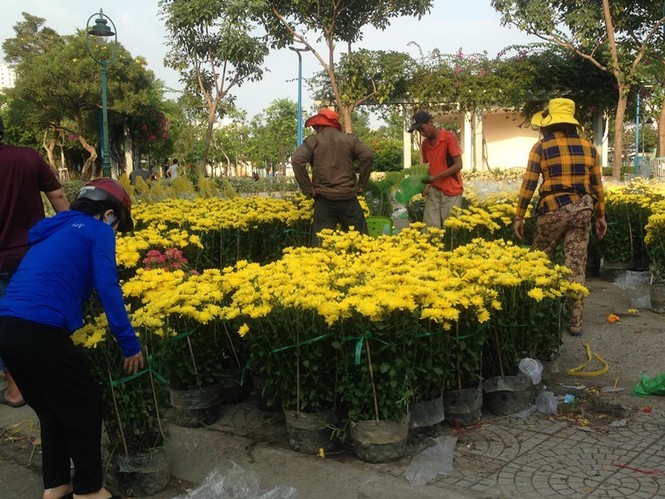 Để không bị 'ép rác', hoa tết chạy về đâu? - ảnh 1