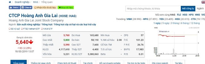 Hoàng Anh Gia Lai bị phạt, truy thu thuế gần 11 tỷ đồng - ảnh 1