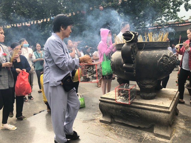 Chim phóng sinh đội giá cao ngất, thả chỉ đi bộ lảo đảo như say rượu - ảnh 10