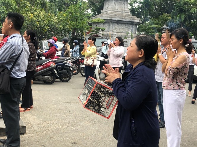 Chim phóng sinh đội giá cao ngất, thả chỉ đi bộ lảo đảo như say rượu - ảnh 12