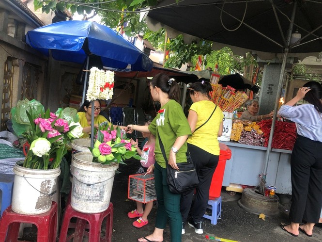 Chim phóng sinh đội giá cao ngất, thả chỉ đi bộ lảo đảo như say rượu - ảnh 6