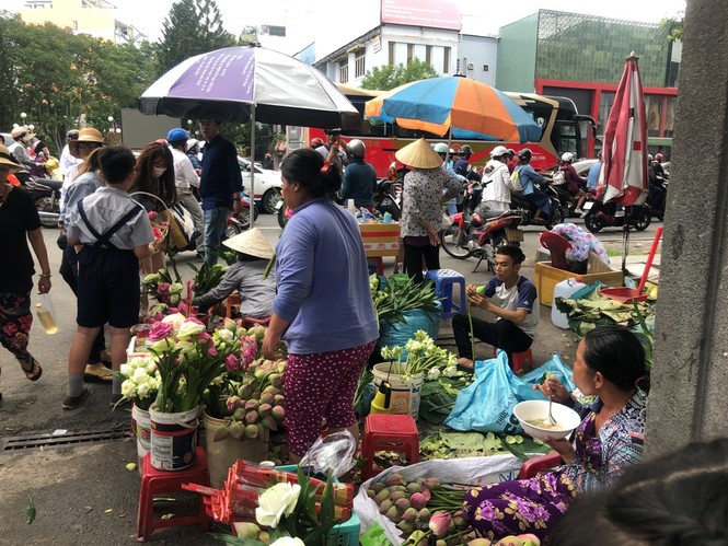 Chim phóng sinh đội giá cao ngất, thả chỉ đi bộ lảo đảo như say rượu - ảnh 7
