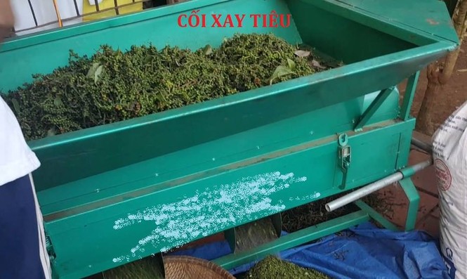Bé gái bị tróc da đầu vì tóc cuộn vào máy xay tiêu - ảnh 1