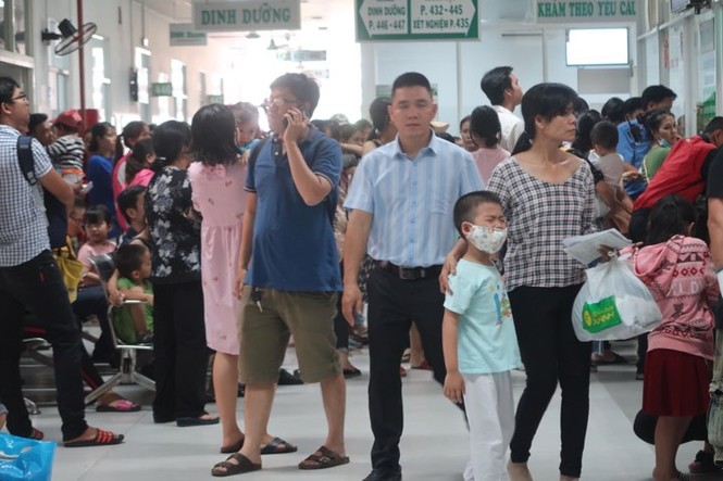 Bác thông tin TPHCM bụi mù mịt do cháy rừng từ Indonesia - ảnh 3
