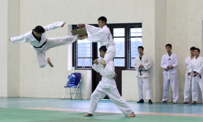 Diễn võ thuật công phá khai mạc Ngày hội văn hóa thể thao - ảnh 7
