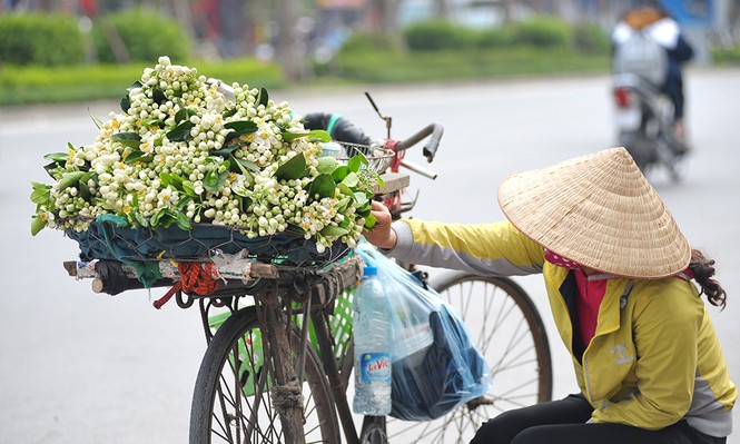 Đường phố Hà Nội ngát hương hoa bưởi - ảnh 5