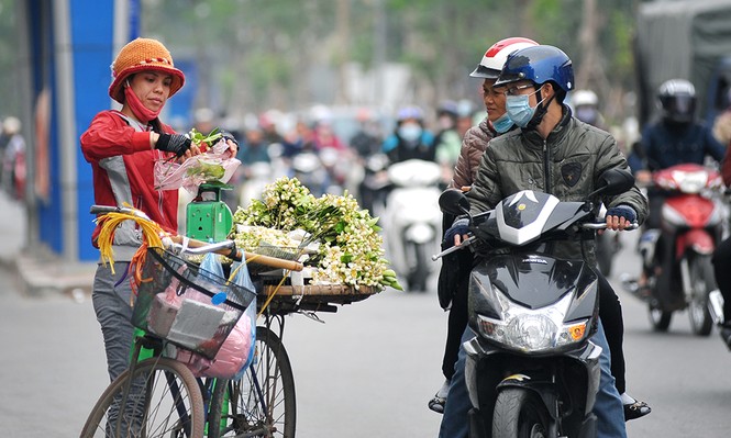 Đường phố Hà Nội ngát hương hoa bưởi - ảnh 7