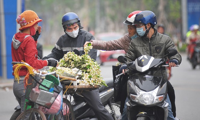 Đường phố Hà Nội ngát hương hoa bưởi - ảnh 6