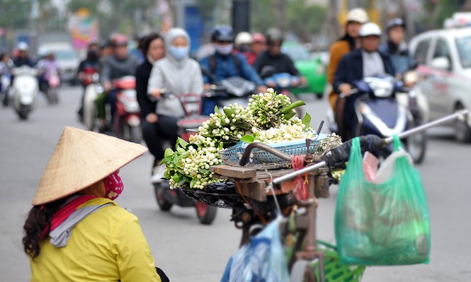 Đường phố Hà Nội ngát hương hoa bưởi - ảnh 1