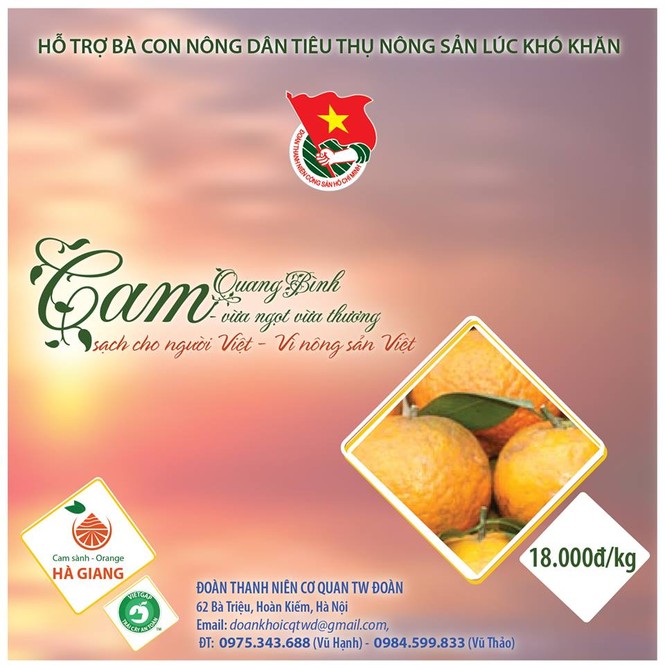 Chung tay đưa cam sạch cho người Việt - ảnh 1