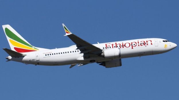 Nhiều hãng hàng không dừng bay Boeing 737 MAX 8 - ảnh 1
