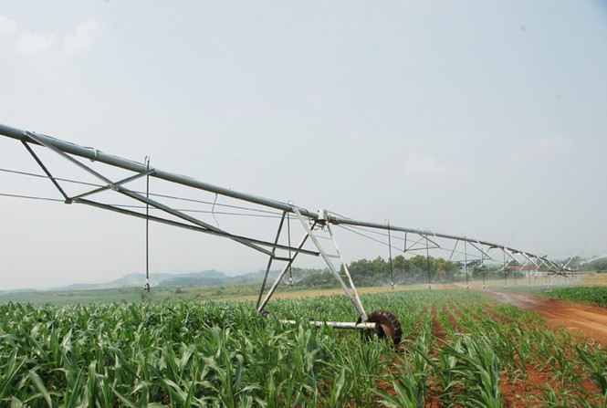 Người đàn bà khó bề yên ổn - ảnh 9