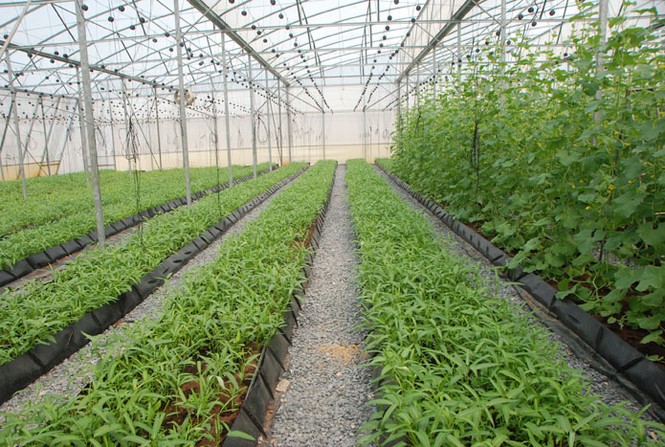 Người đàn bà khó bề yên ổn - ảnh 10