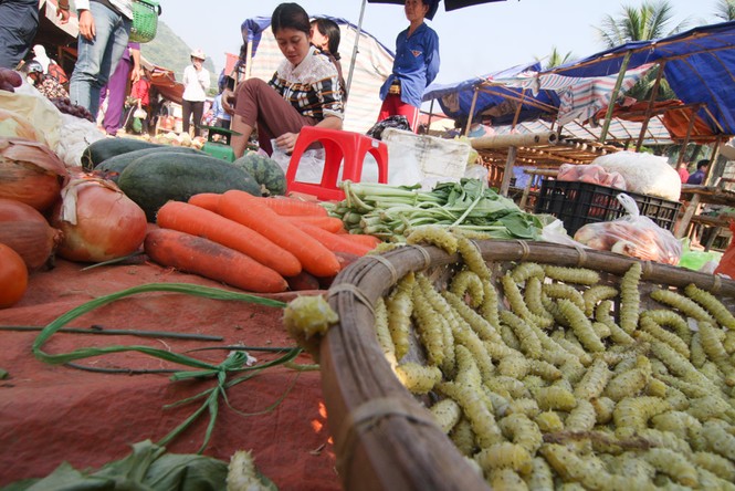 Săn 'đặc sản' nghe tên đã rùng mình ở chợ phiên Lũng Niêm - ảnh 2