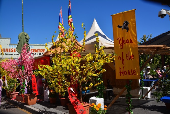 Tưng bừng Chợ Tết Việt ở Australia - ảnh 5