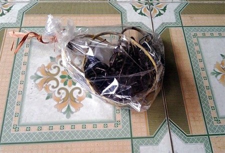 Chạm vào người chó, chủ nhà bị điện giật chết - ảnh 1