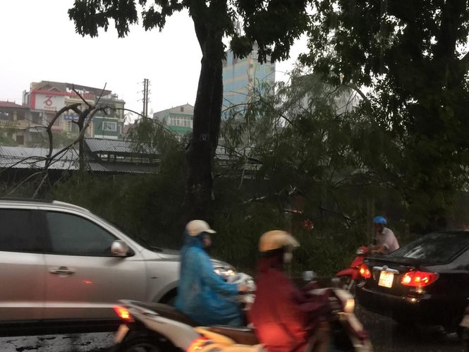 Hà Nội mưa lốc kinh hoàng, giao thông tê liệt - ảnh 11