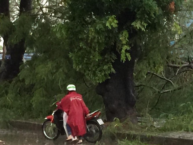 Hà Nội mưa lốc kinh hoàng, giao thông tê liệt - ảnh 12