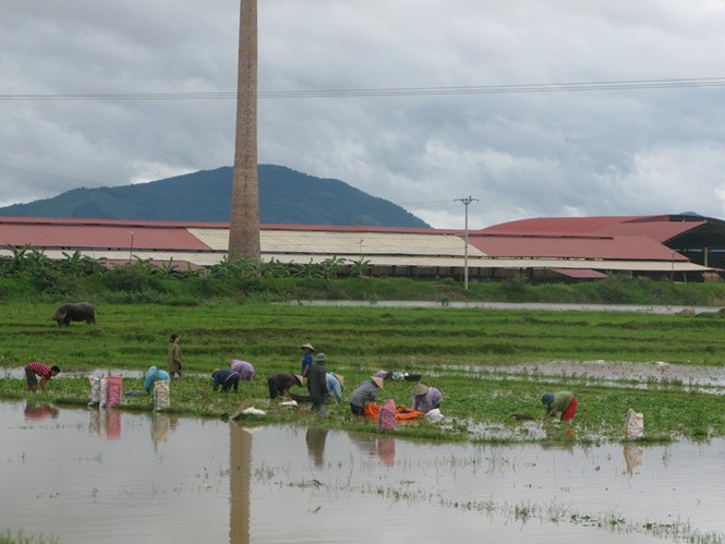 Bắc Giang: Cụ ông 69 tuổi bị mưa lũ cuốn trôi tử vong - ảnh 1