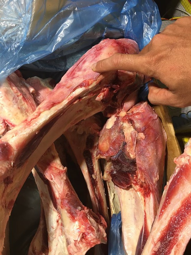Giòi lúc nhúc trong thùng thịt trâu