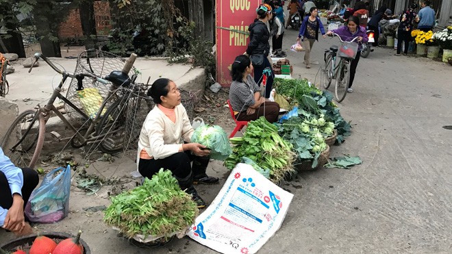 Giá thực phẩm, rau củ quả bắt đầu 'hạ nhiệt' - ảnh 1