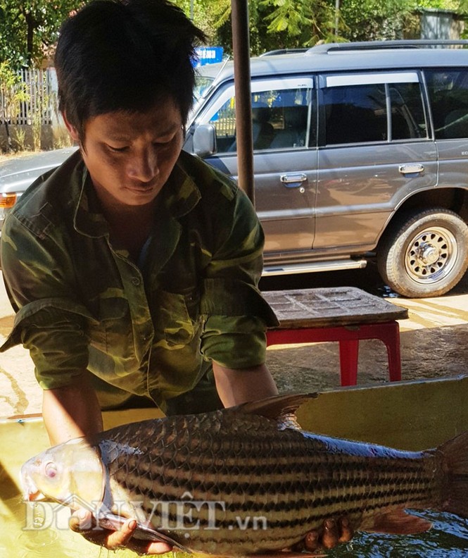 săn thủy quái bên dòng Sê San - ảnh 2