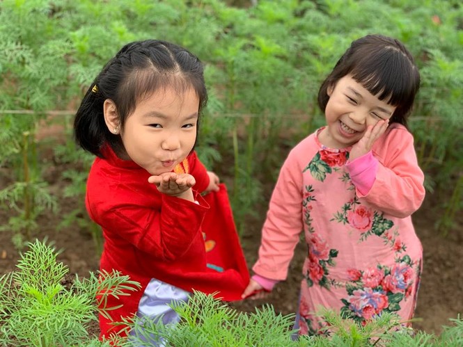 Lớp học trang trí Tết cực kì ấn tượng được tán thưởng trên mạng xã hội - ảnh 17