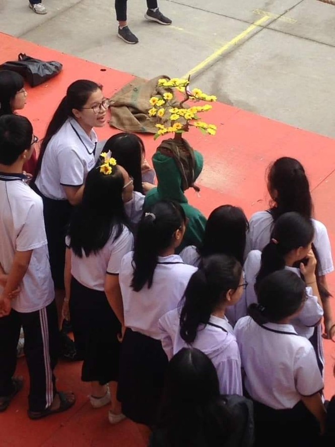 Lớp học trang trí Tết cực kì ấn tượng được tán thưởng trên mạng xã hội - ảnh 9