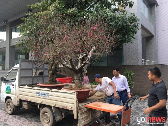 Lớp học trang trí Tết cực kì ấn tượng được tán thưởng trên mạng xã hội - ảnh 10