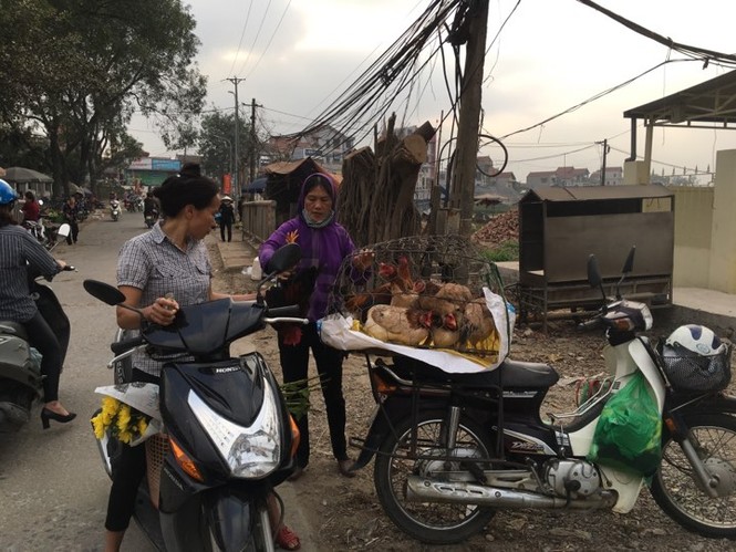 Rau xanh, hoa tươi ở Hà Nội rớt giá thê thảm sau Tết - ảnh 2